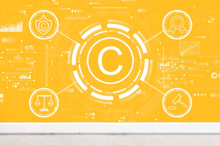 What is Copyright Infringement Related to Programs?