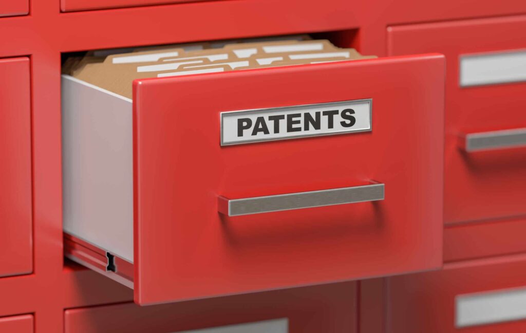 What Does 'Infringement of Patent Rights' Refer to?