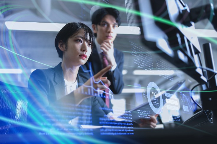 What is the Law Surrounding the 'Flameout' of System Development Projects?