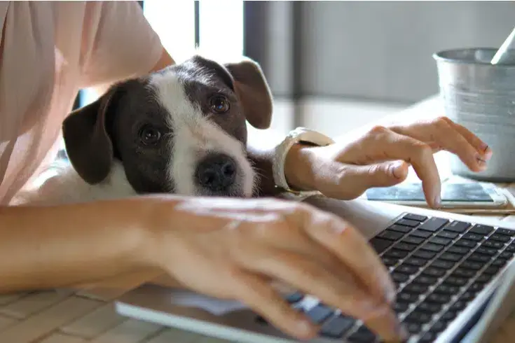 Apakah Diperbolehkan Adanya Perbedaan Gaji antara Karyawan yang Bekerja di Kantor dan Karyawan yang Bekerja dari Rumah Seiring dengan Berkembangnya Telework?