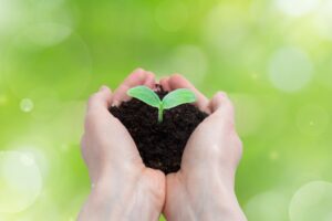 シードラウンドでの投資契約締結の必要性