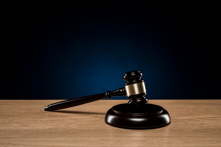 裁判所を通した手段(訴訟および仮処分)による削除