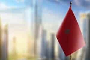 モロッコの会社法が定める会社形態と会社設立の解説