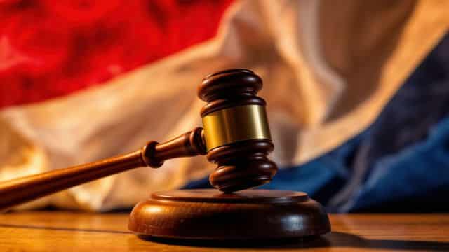 オランダ:「大会社」制度と選択肢