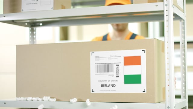 アイルランドの労働法
