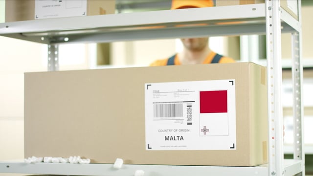 マルタの就労・専門職向けビザとシングルパーミット制度