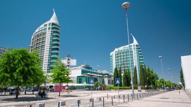 ポルトガルの株式会社(SA)における機関設計の3つの選択肢