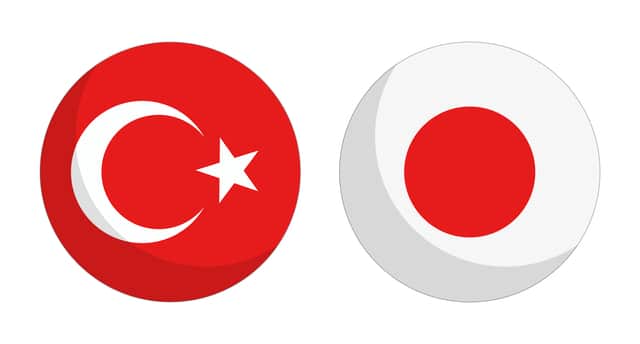 トルコとの日本の株式会社(JSC)と有限会社(LLC)の法的構造比較