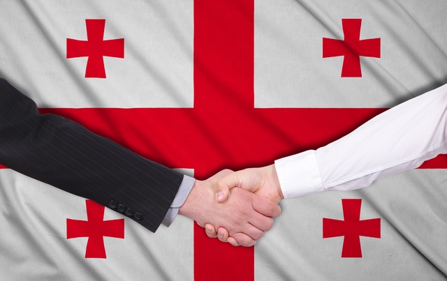 ジョージアにおける紛争解決と司法判断の動向