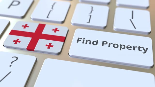 ジョージア民法における不動産物権変動の論理