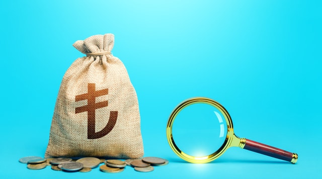 トルコ企業におけるコーポレートガバナンスの機関設計