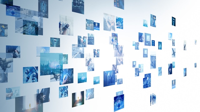 ジョージアにおけるデータ主体の権利行使と5日以内の停止義務