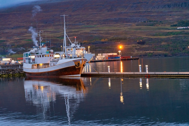 アイスランドの漁業および水産加工業における厳格な参入規制