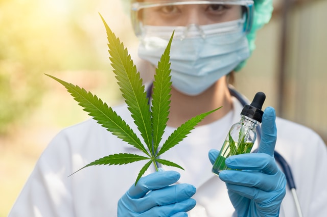 ギリシャのデジタルヘルスと医療大麻の法整備