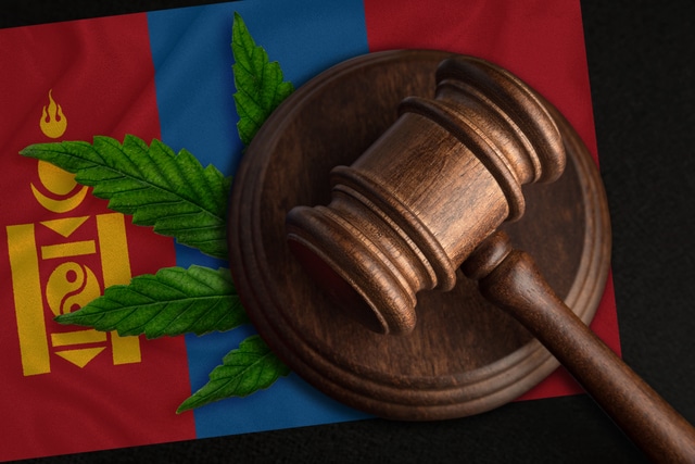 モンゴルの司法判断における株主権の保護と重要判例