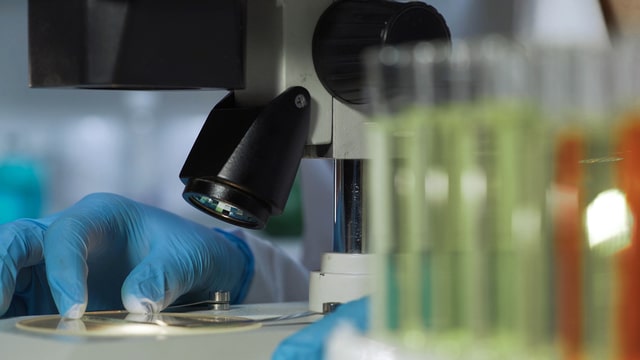 インドにおける審査請求期限の短縮による権利化プロセス変革