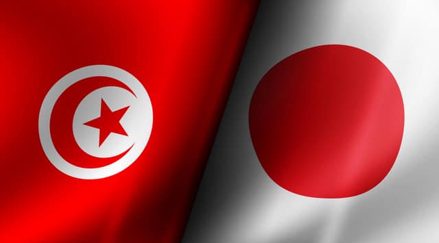 チュニジア法と日本の個人情報保護法の重要な違い